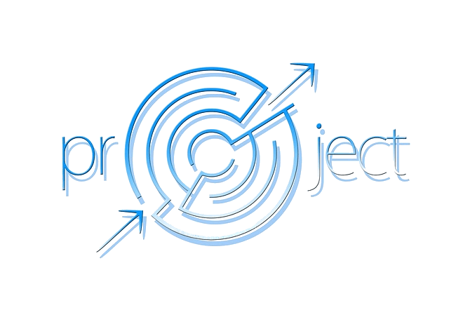 project target
